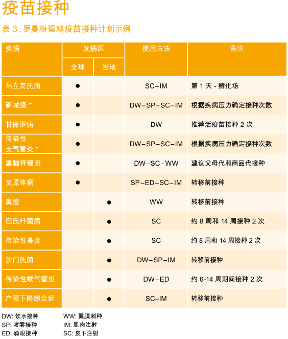 2018新型罗曼粉商品蛋鸡生产性能指标【最新版】