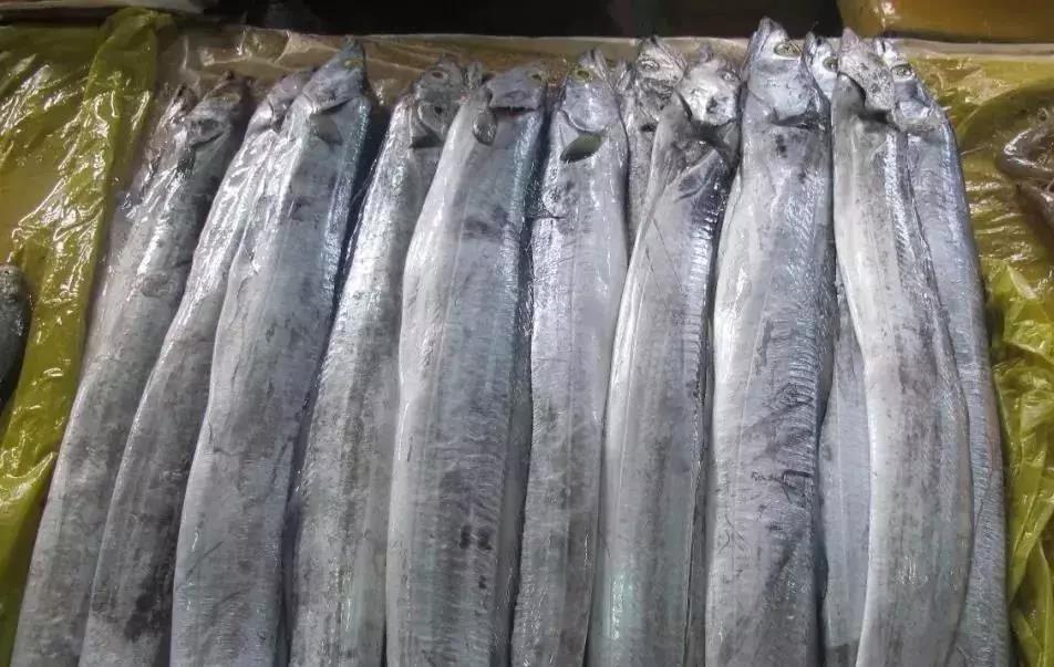 最近热销的冰鲜类水产品有带鱼,鲳鱼,梅鱼等,价格均有所上涨.