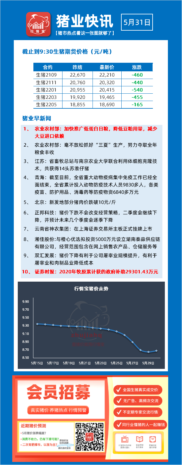 行情宝-猪肉跌破10元，养殖户“跌蒙圈”，还跌吗？最新猪价预测