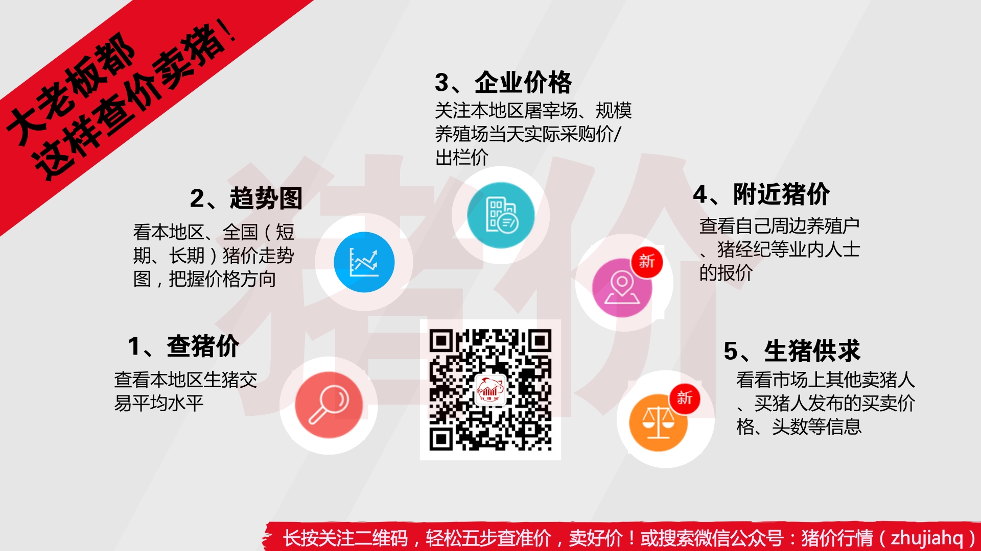 每日可通过微信公众号