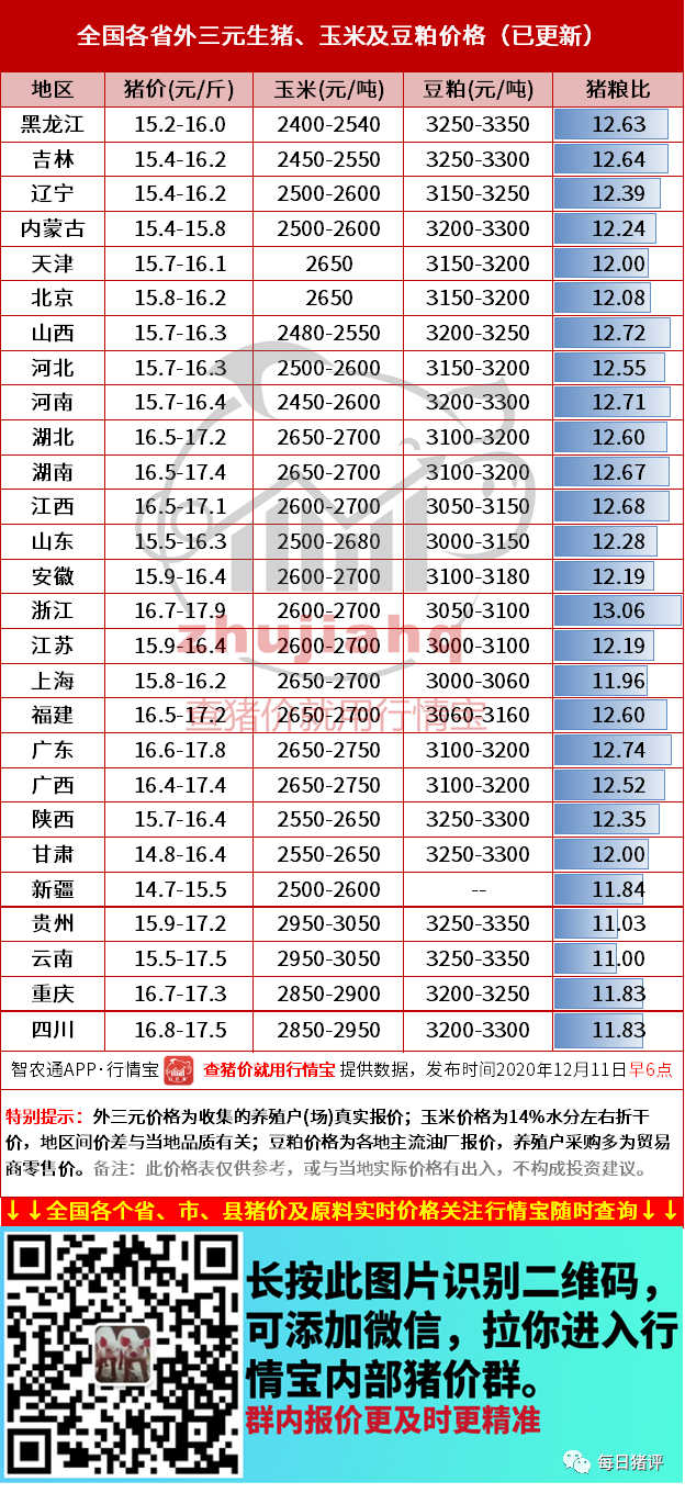 行情宝 11日东北收猪难 猪价跌到头了