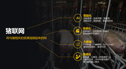 智能养猪,现代化智能养猪场,智能养猪场_大山谷图库