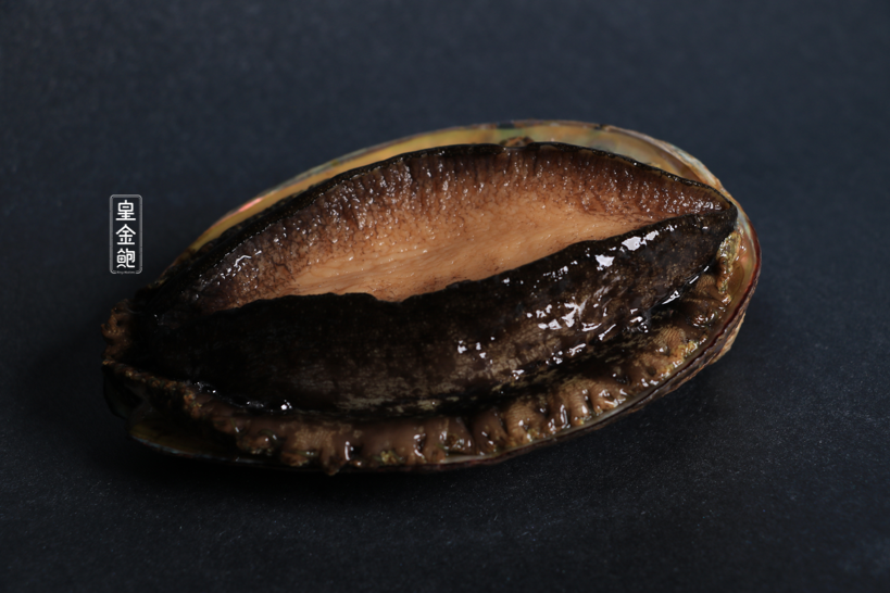 鲜活四头皇金鲍 4只/盒