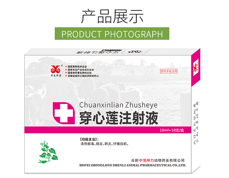 【中龙神力】穿心莲注射液10mlx10支/盒 zsy003_动保_兽药_解热镇痛药
