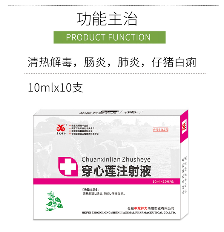 中龙神力穿心莲注射液10mlx10支盒zsy003