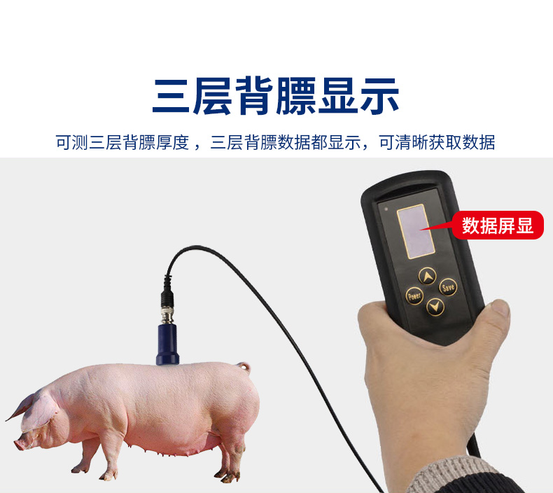 猪乐道 可视背膘仪猪用背膘检测器