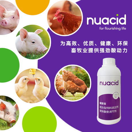 饮水酸化剂 富酸宝1001 1公斤饲料饲料添加剂其他饲料添加剂酸能nuacid农信商城 