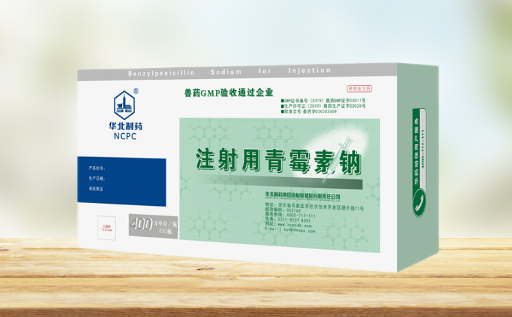 农信分销华北制药400万注射用青霉素钠50支