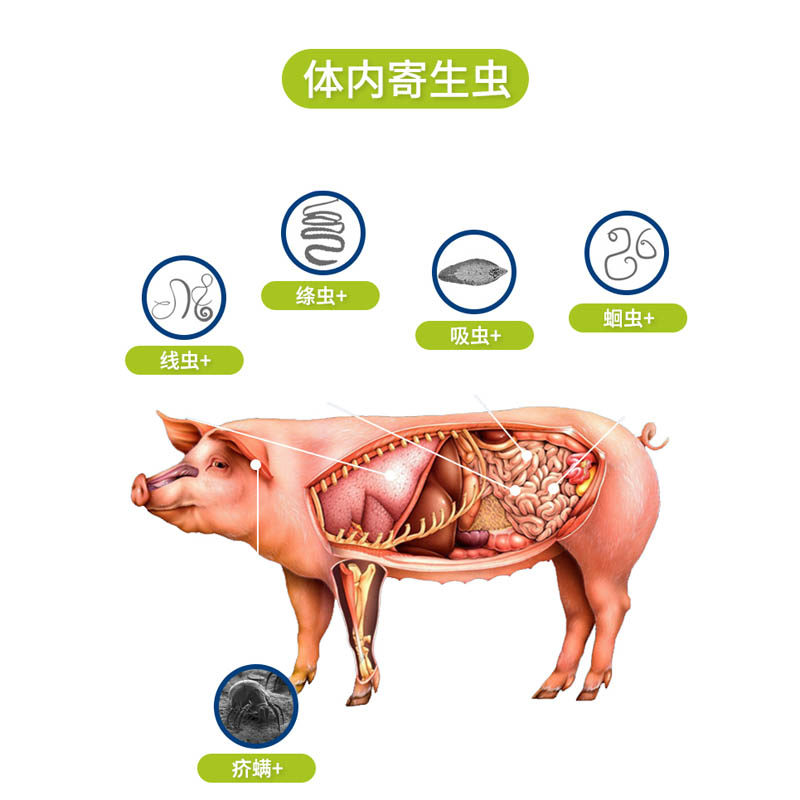 【鑫广安】阿苯达唑伊维菌素粉 500g/包_动保_兽药_抗寄生虫药_鑫广安工厂店_农信商城